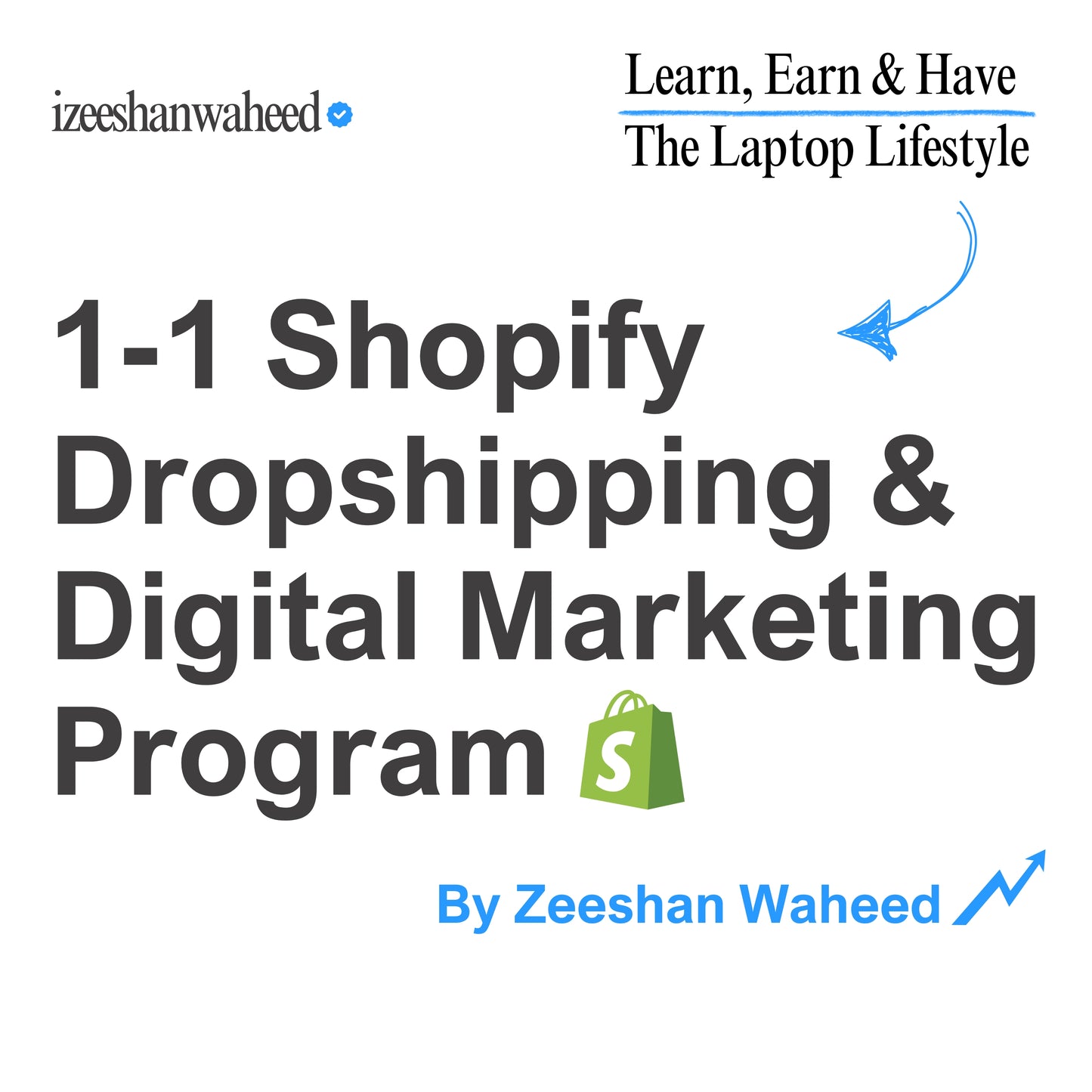 1-on-1 Shopify Dropshipping, Digital Marketing & Freelancing Course